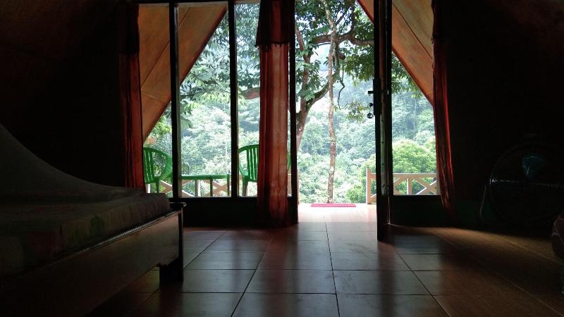 Green Forest Tangkahan image