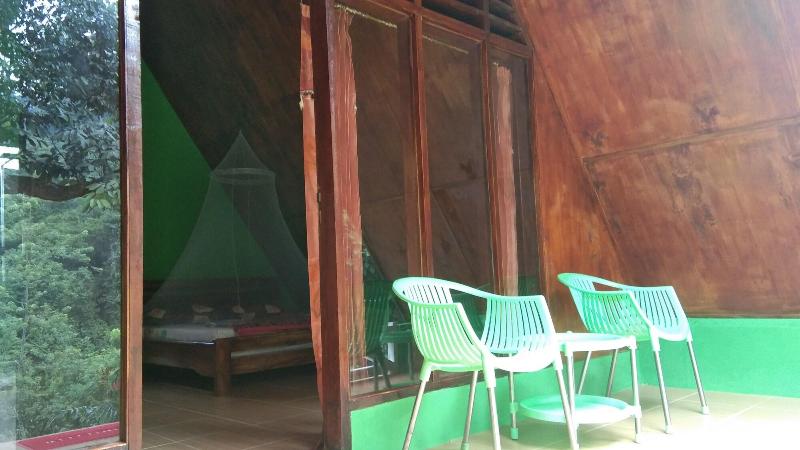 Green Forest Tangkahan image