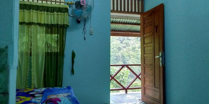 Green Forest Tangkahan image