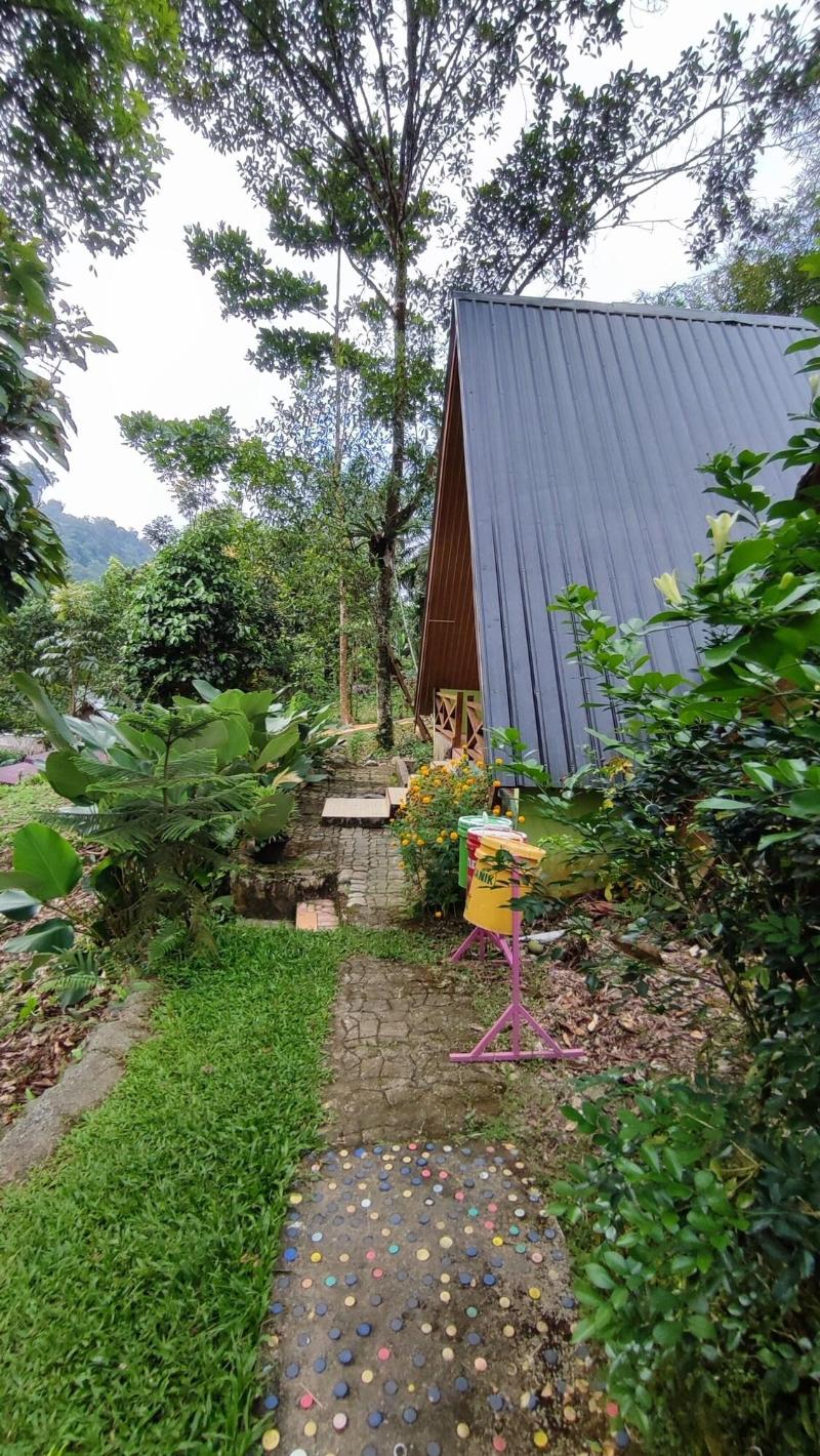Green Forest Tangkahan image