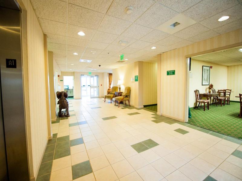 Greystone Inn And Suites image 8