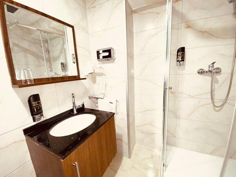 Louis Hotels image