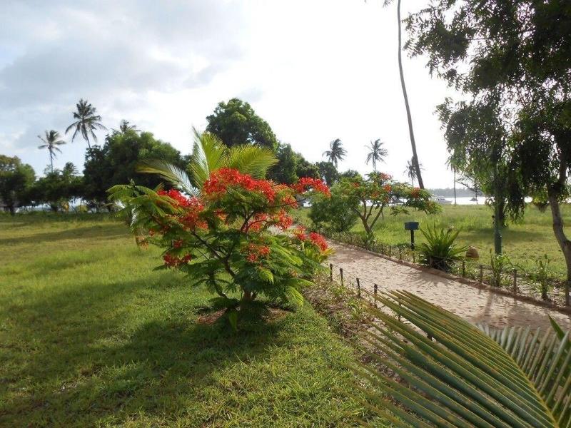 Mafia Island Lodge image
