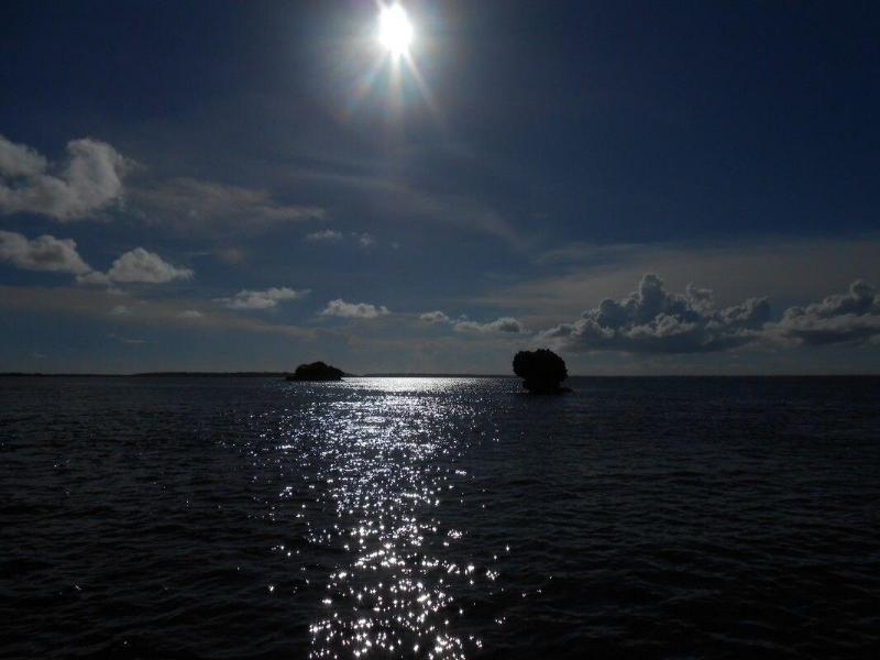 Mafia Island Lodge image
