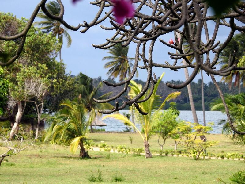 Mafia Island Lodge image