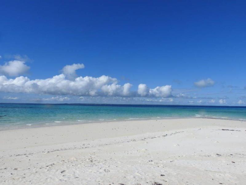 Mafia Island Lodge image