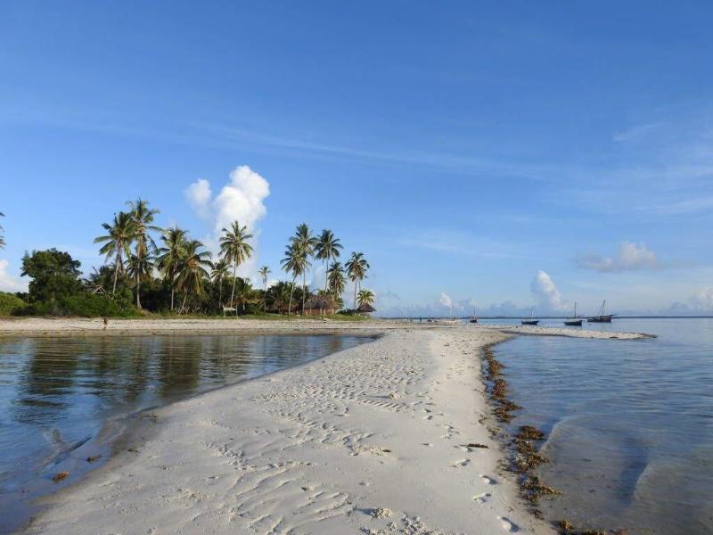Mafia Island Lodge image