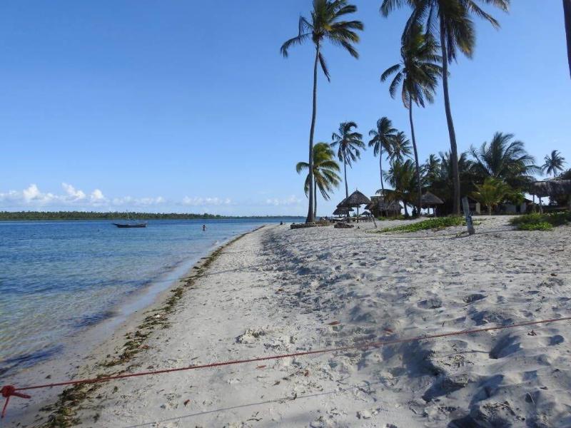 Mafia Island Lodge image