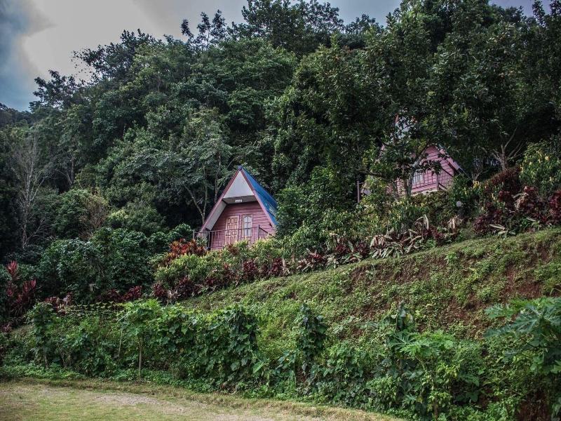 Ukrist Farm Hill Resort