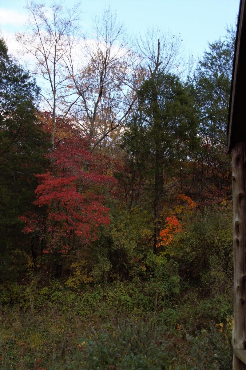 Makanda Inn & Cottages image
