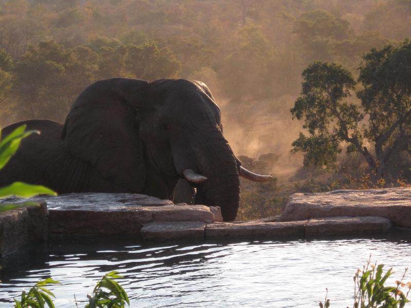 Makumu Private Game Lodge image
