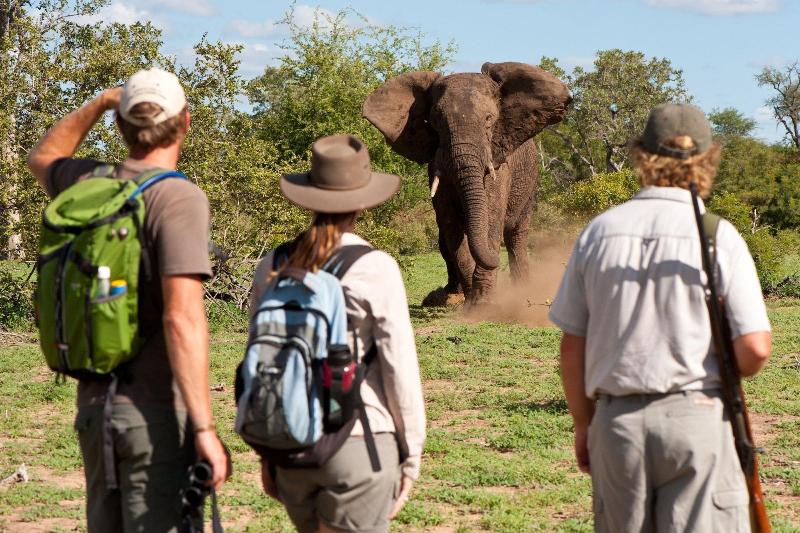 Makumu Private Game Lodge image