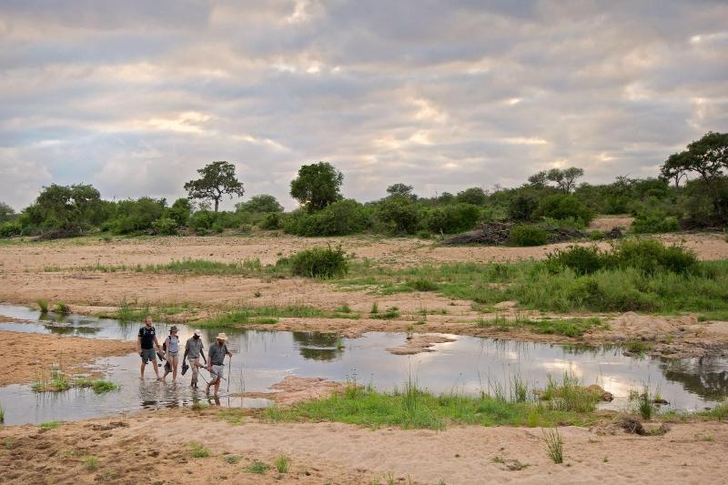 Makumu Private Game Lodge image