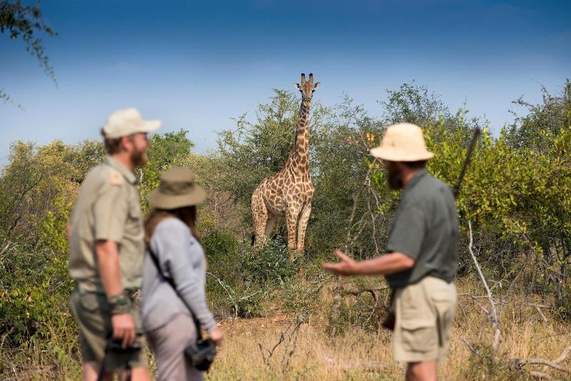 Makumu Private Game Lodge image