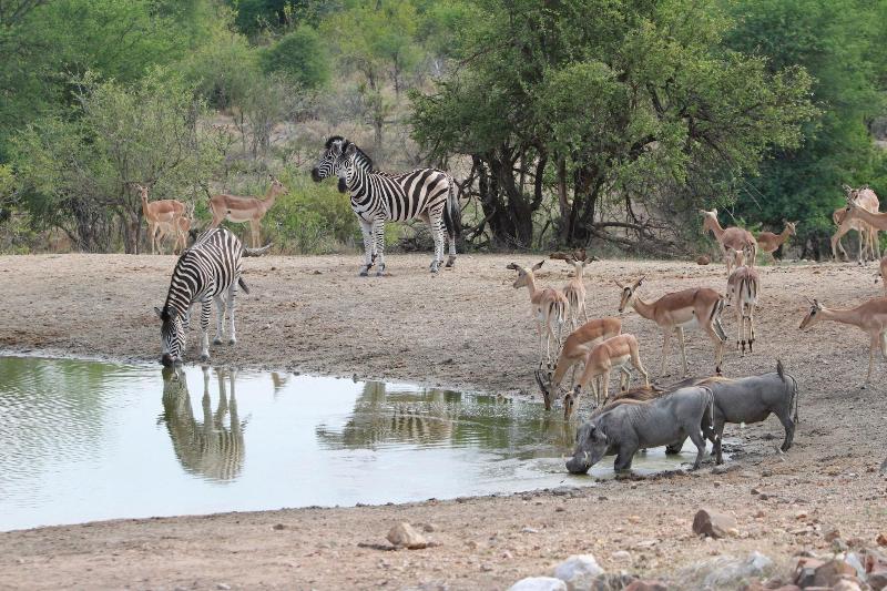 Makumu Private Game Lodge image