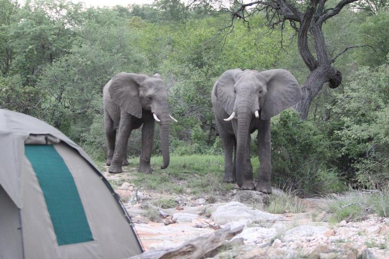 Makumu Private Game Lodge image