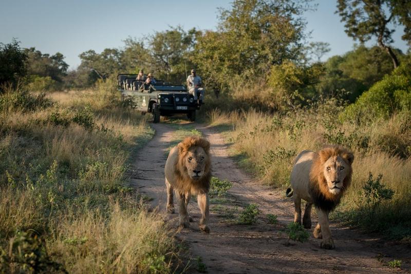 Makumu Private Game Lodge image