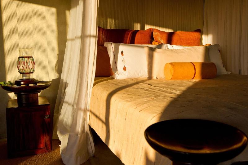 Makumu Private Game Lodge image