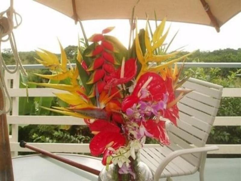 Hale-hoola B & B image