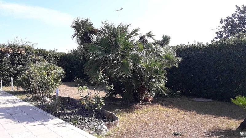 Villa Del Mar image
