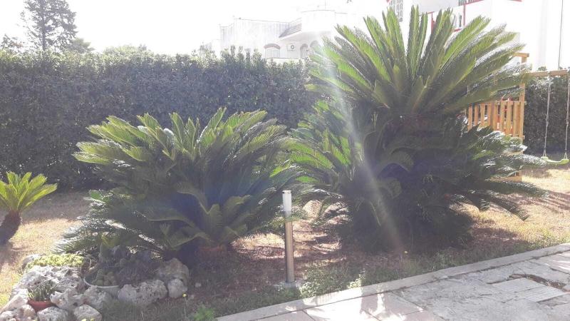 Villa Del Mar image