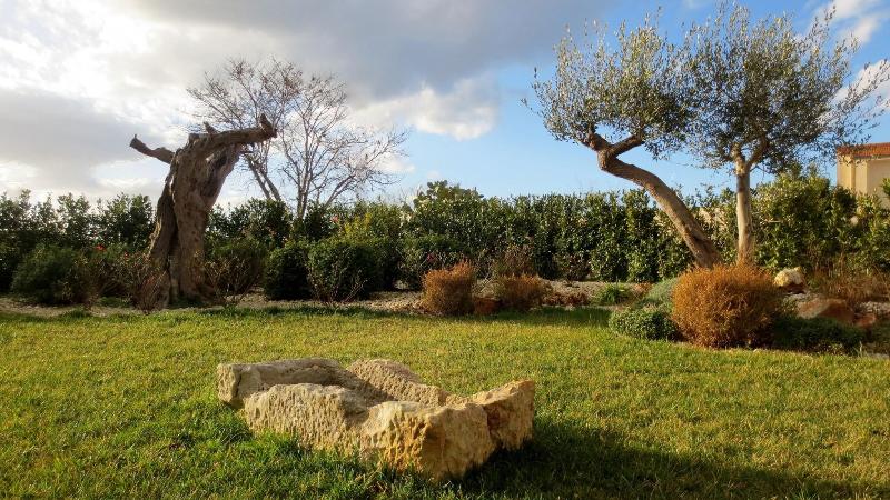 Masseria Corte Masseriola image