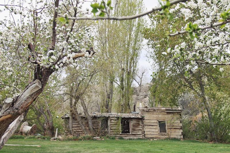 Hidden Canyon Retreat image