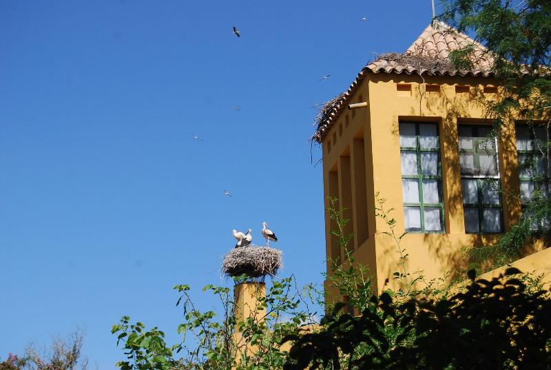 Vivienda Rural El Retorno — general view