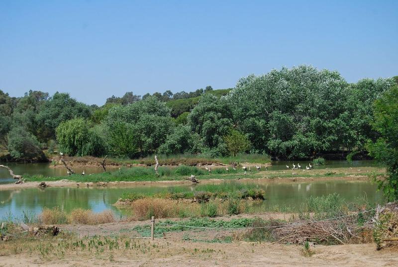 Vivienda Rural El Retorno image