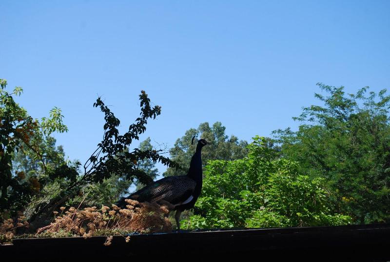 Vivienda Rural El Retorno image