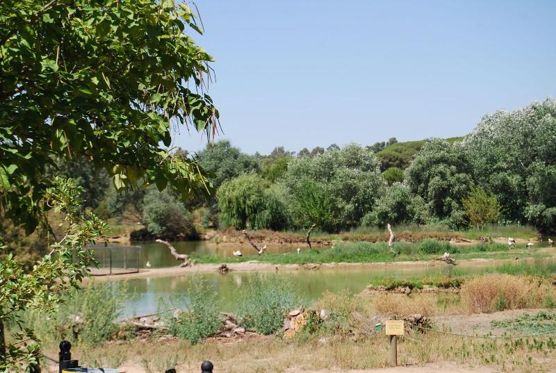 Vivienda Rural El Retorno image