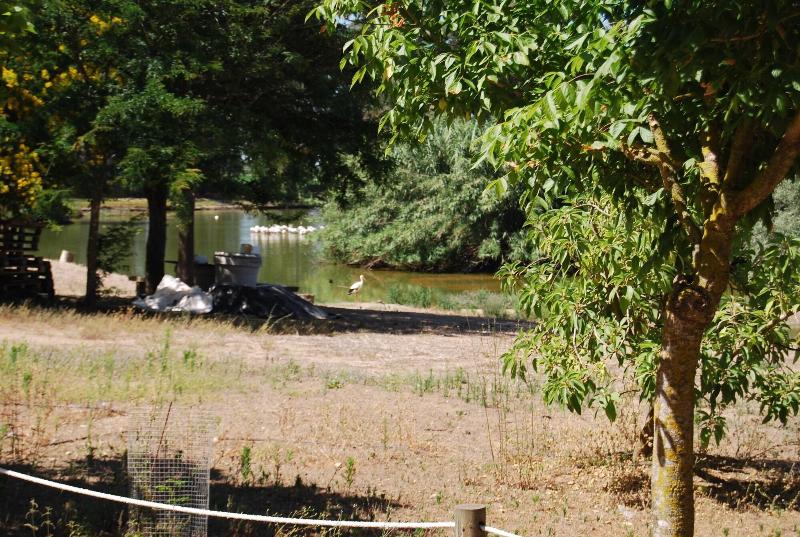 Vivienda Rural El Retorno image