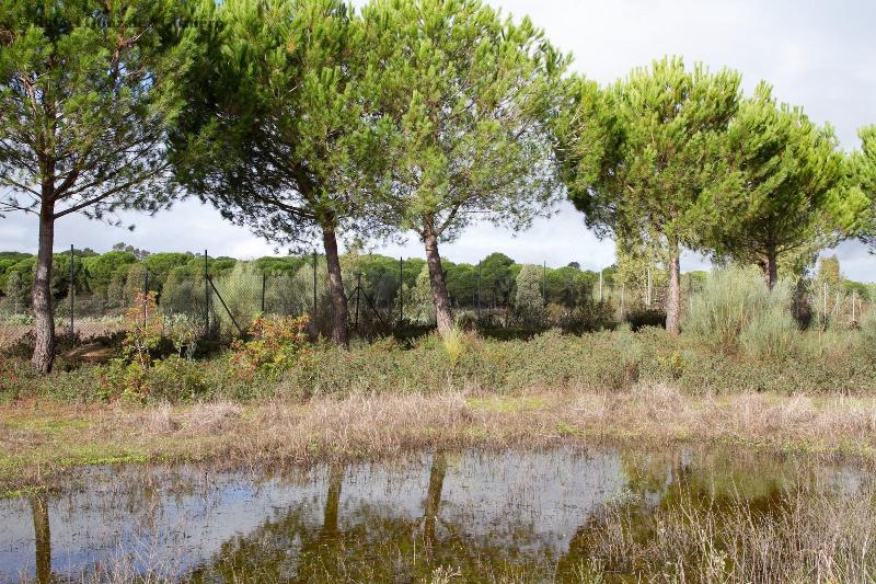 Vivienda Rural El Retorno image