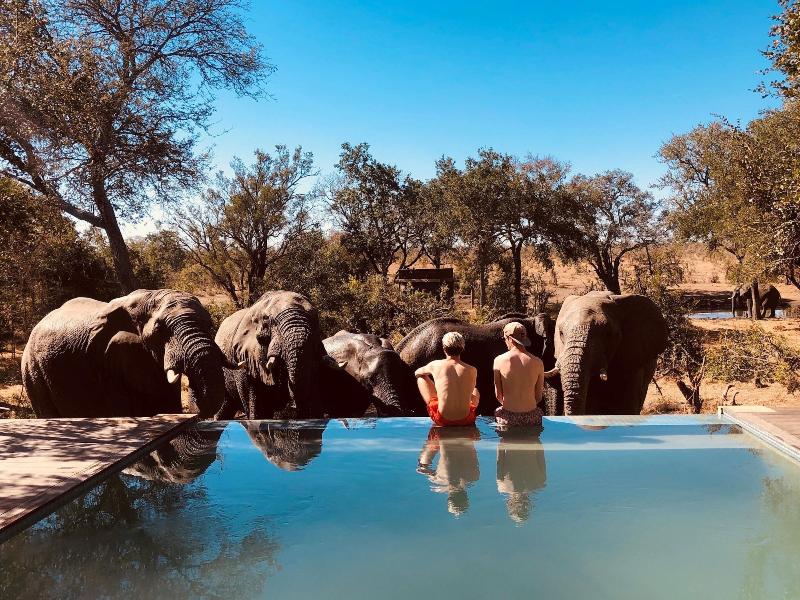 Honeyguide Tented Safari Camps-Montobeni image
