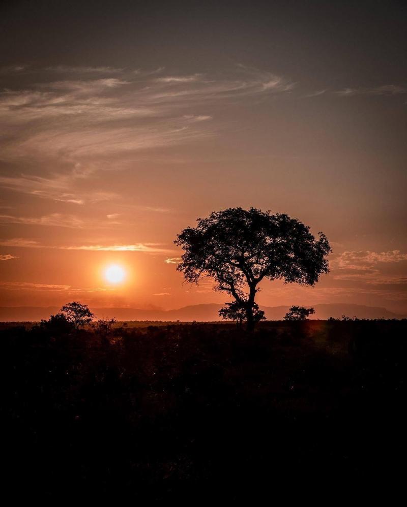 Honeyguide Tented Safari Camps-Montobeni image