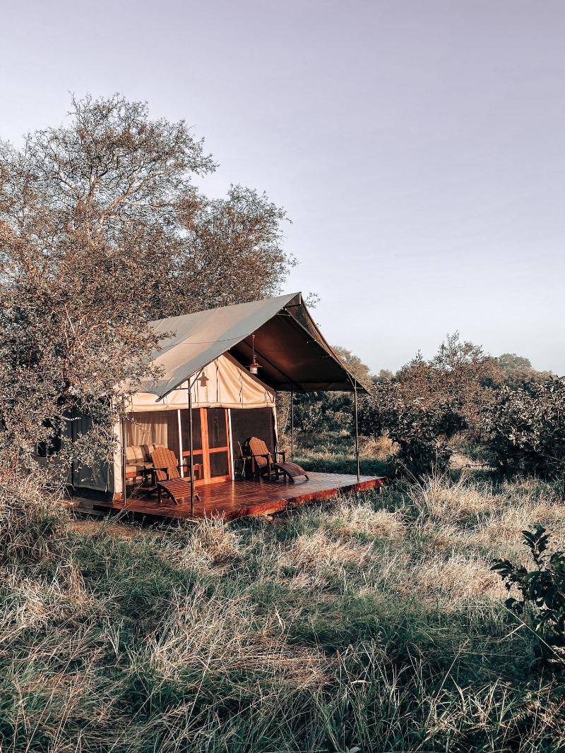 Honeyguide Tented Safari Camps-Montobeni image