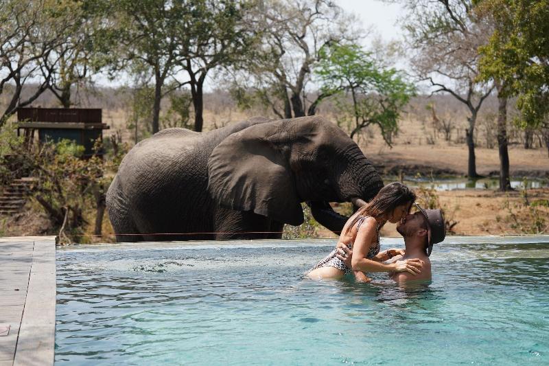 Honeyguide Tented Safari Camps-Montobeni image