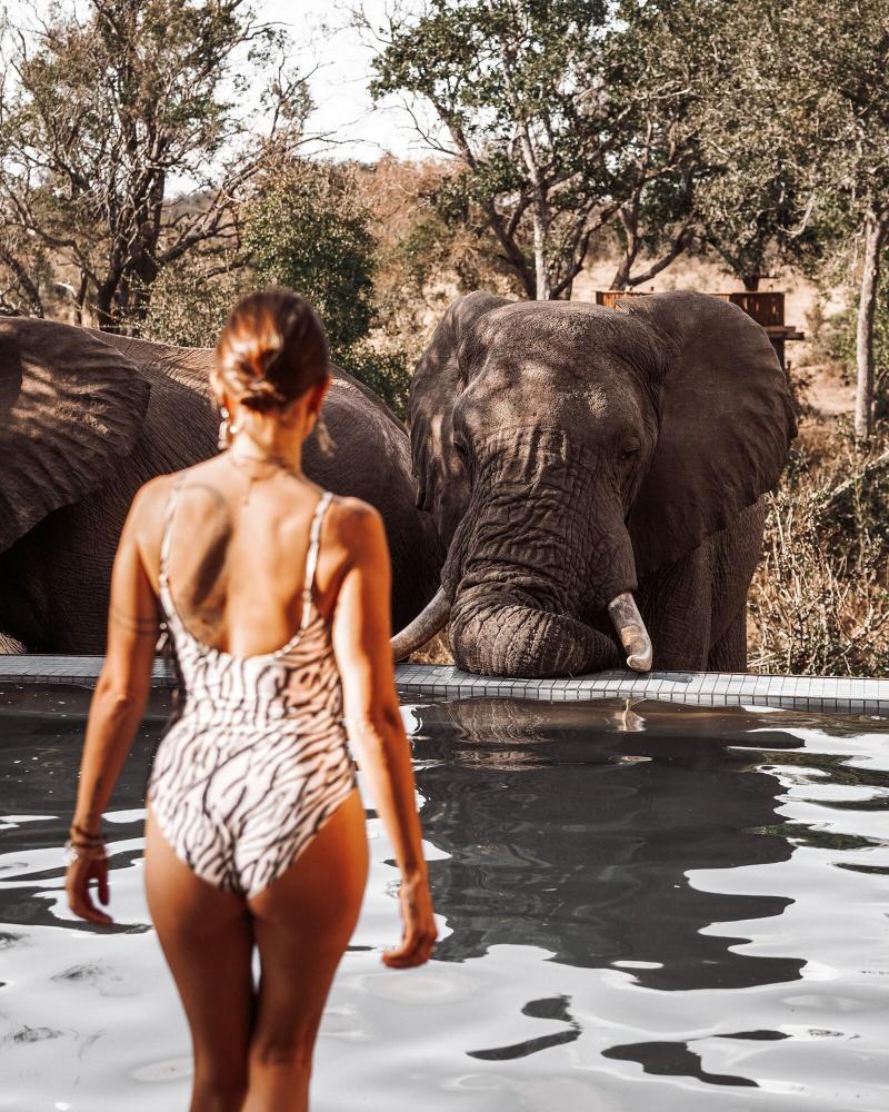 Honeyguide Tented Safari Camps-Montobeni image