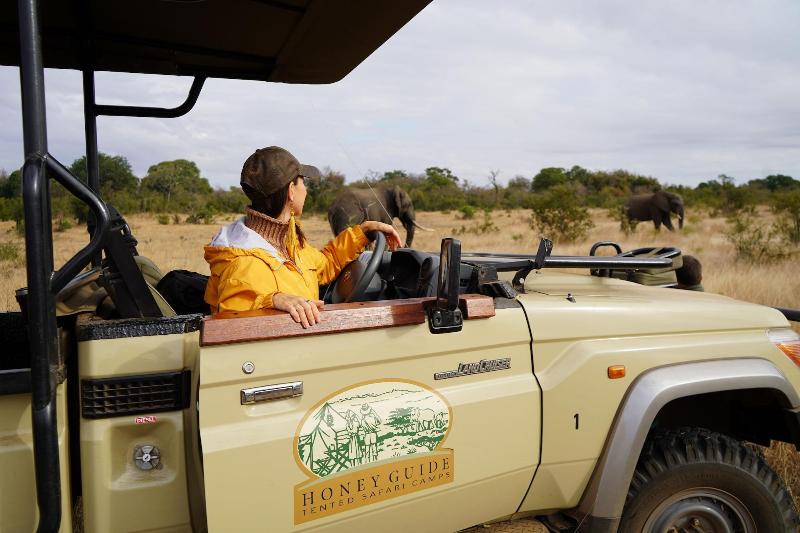 Honeyguide Tented Safari Camps-Montobeni image