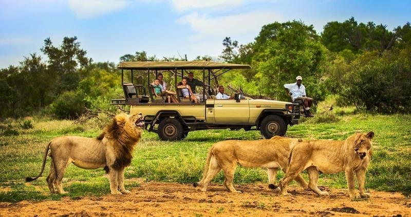 Honeyguide Tented Safari Camps-Montobeni image