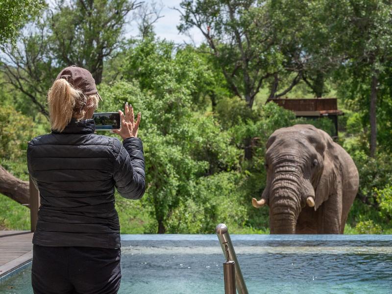 Honeyguide Tented Safari Camps-Montobeni image