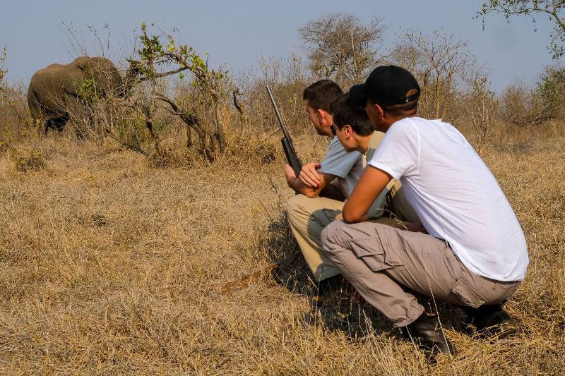 Honeyguide Tented Safari Camps-Montobeni image