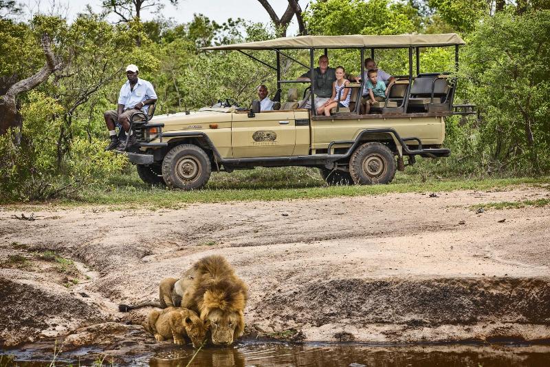 Honeyguide Tented Safari Camps-Montobeni image