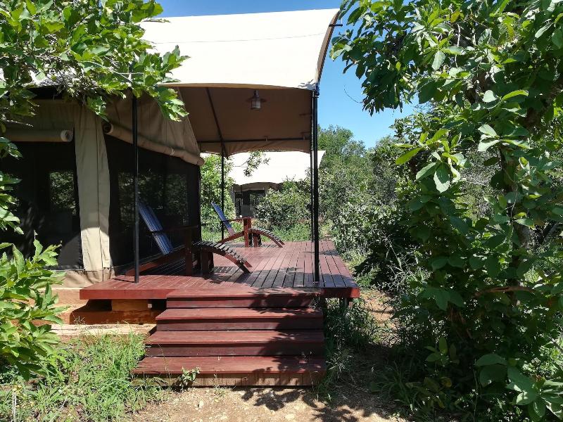 Honeyguide Tented Safari Camps-Montobeni image