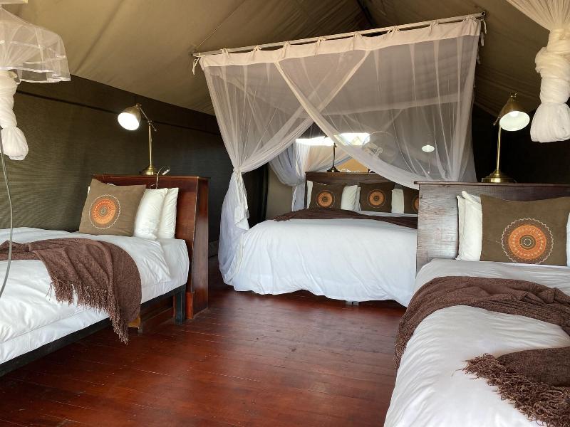 Honeyguide Tented Safari Camps-Montobeni image