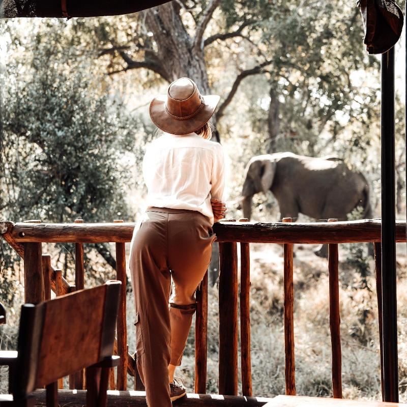 Honeyguide Tented Safari Camps-Montobeni image