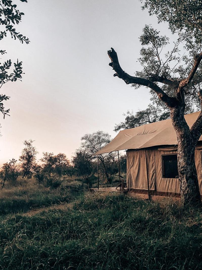 Honeyguide Tented Safari Camps-Montobeni image