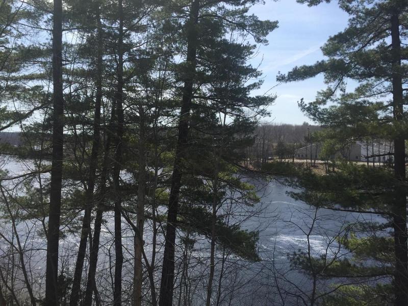 Milford Motel On The River image