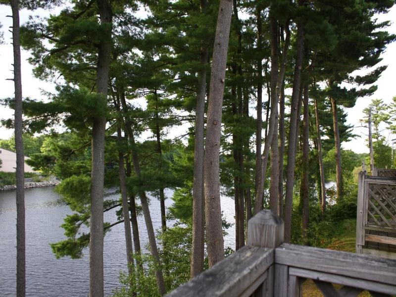 Milford Motel On The River image