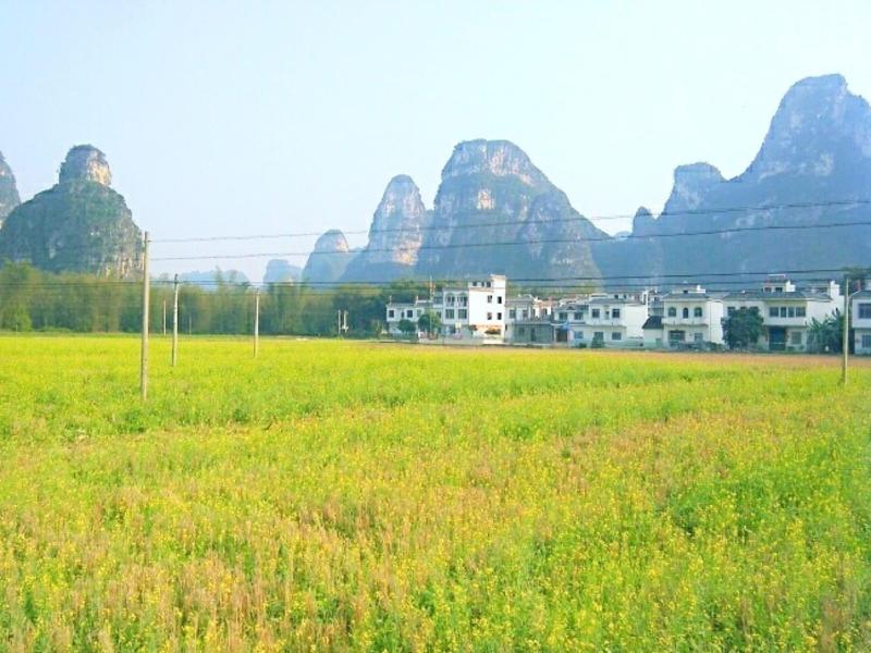 Mingshi Red Bean Restaurant Homestay image